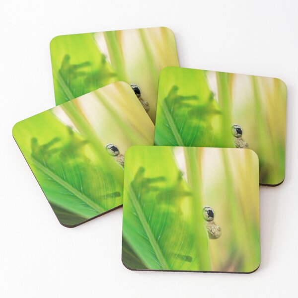 Item preview, Emerald-spotted Tree Frog designed and sold by robdwildlife.