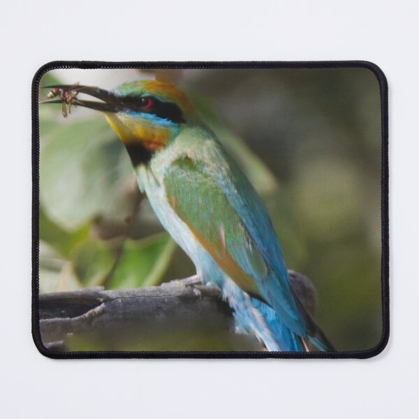 Item preview, Rainbow Bee-eater with food designed and sold by BirdsAlive.