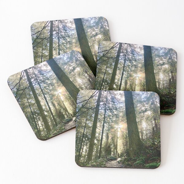 Item preview, Sunlit Oregon Forest Trail designed and sold by Beautyremains.