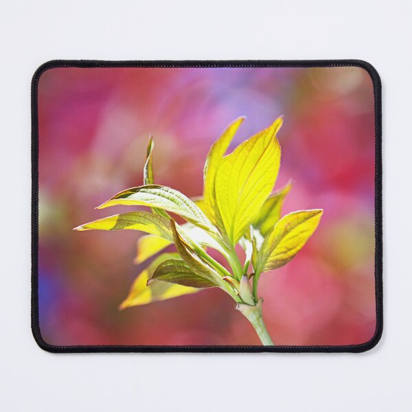 Item preview, Leaves Over Dogwood Flowers designed and sold by Joy Watson - Natural Light Photography .