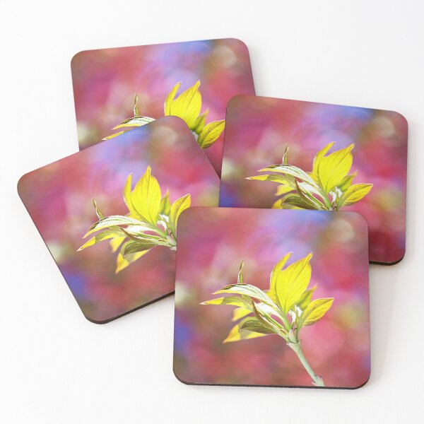 Item preview, Leaves Over Dogwood Flowers designed and sold by Joy Watson - Natural Light Photography .