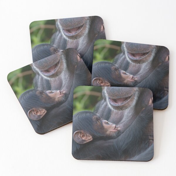 Item preview, Mother’s Love – Baby Chimpanzee designed and sold by rawshutterbug.