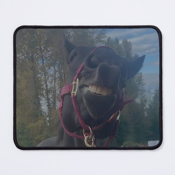 Item preview, smiling horse designed and sold by Cardsurveyors.