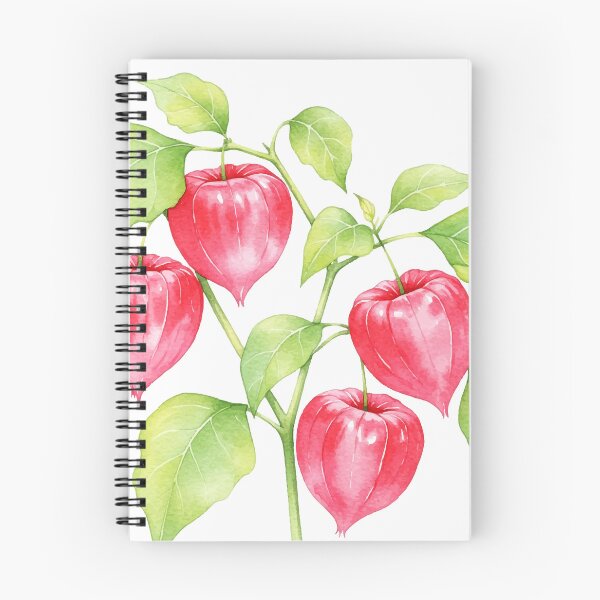 Item preview, Chinese hibiscus designed and sold by Design4uStudio.