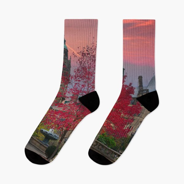 Item preview, Sheffield Autumn Sunset designed and sold by Alisonchambers2.