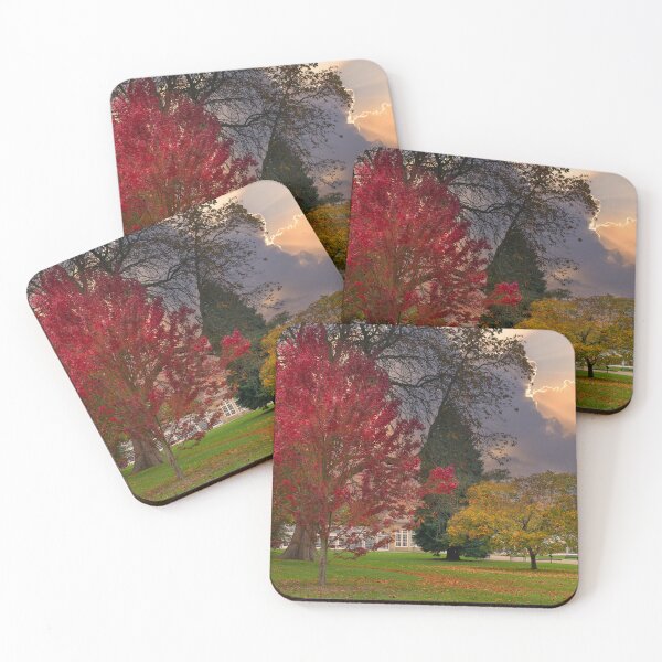 Item preview, Sheffield Botanical Gardens Autumn designed and sold by Alisonchambers2.