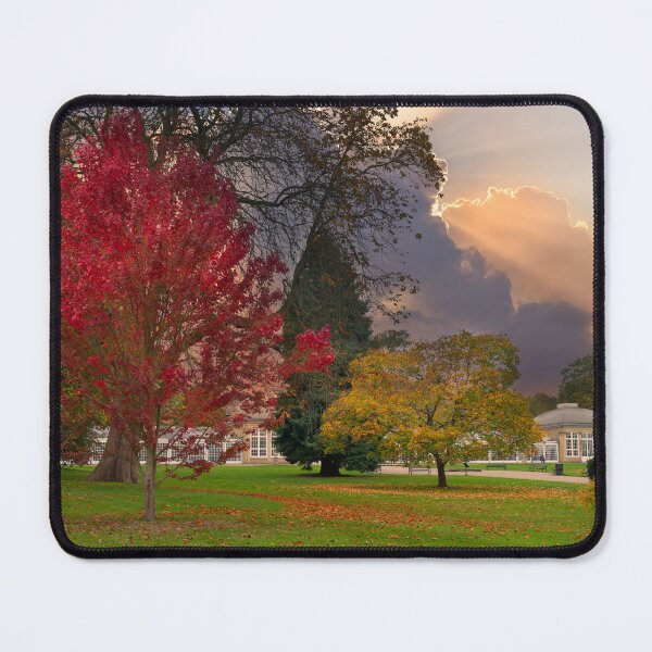 Item preview, Sheffield Botanical Gardens Autumn designed and sold by Alisonchambers2.