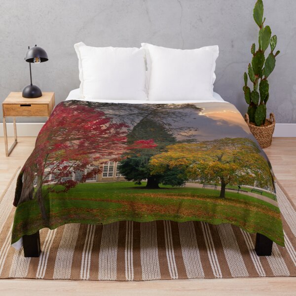 Item preview, Sheffield Botanical Gardens Autumn designed and sold by Alisonchambers2.