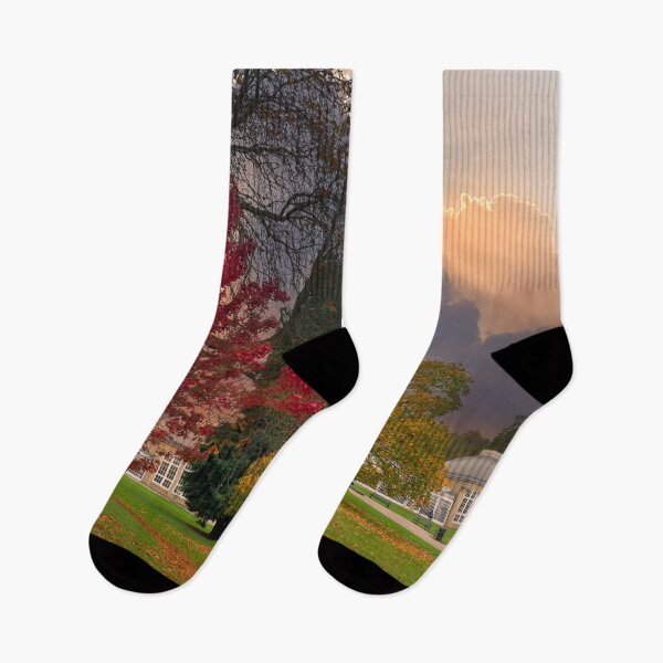 Item preview, Sheffield Botanical Gardens Autumn designed and sold by Alisonchambers2.