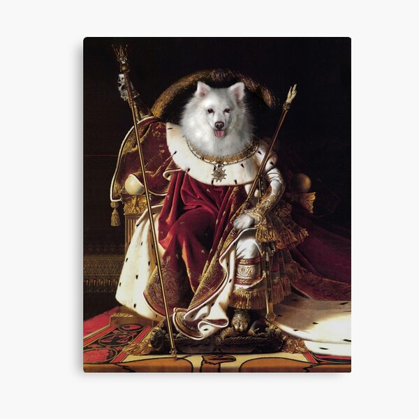 Dog Portrait - Napoleon Canvas Print