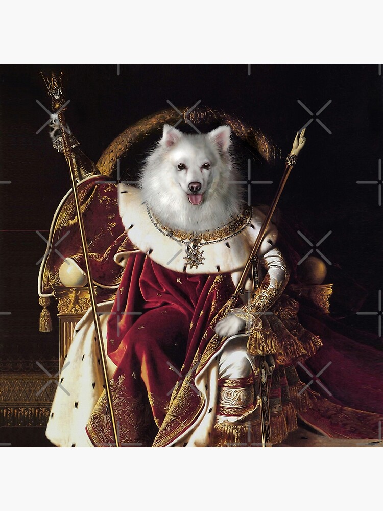 Dog Portrait - Napoleon by carpo17