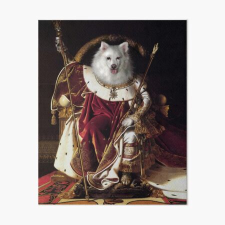 Dog Portrait - Napoleon Art Board Print