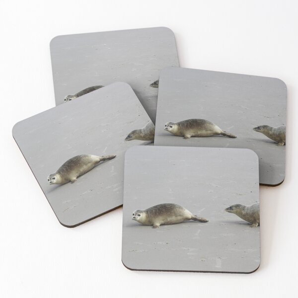 Item preview, Seals at the beach designed and sold by Marije Kouyzer.