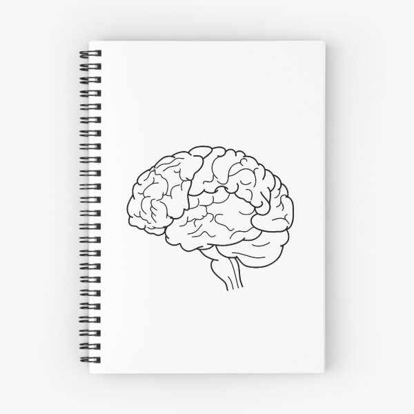 Item preview, Brain Sketch – Anatomy & Biology Poster, Educational Science Art, Genius Gift designed and sold by sciencefacts.