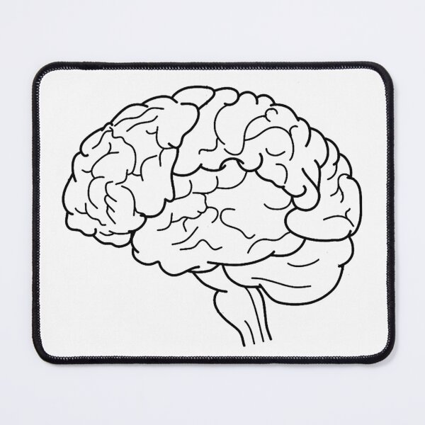 Item preview, Brain Sketch – Anatomy & Biology Poster, Educational Science Art, Genius Gift designed and sold by sciencefacts.