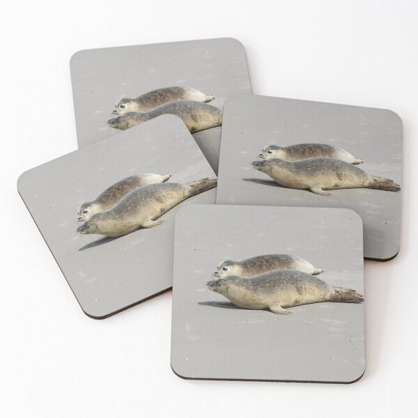 Item preview, Seals at the beach designed and sold by Marije Kouyzer.