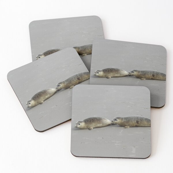 Item preview, Seals at the beach designed and sold by Marije Kouyzer.