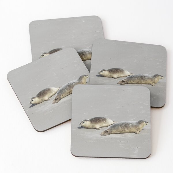 Item preview, Seals at the beach designed and sold by Marije Kouyzer.