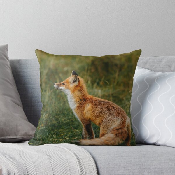 Item preview, Wild Fox | Nature Photography designed and sold by MerchMarketer.