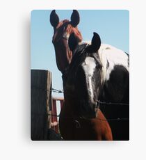 Untitled Canvas Print