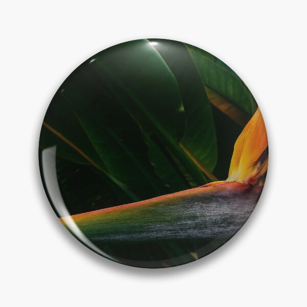 Item preview, Bird of Paradise: The Flame That Takes Flight designed and sold by Roland Keates aka Lost Histories .