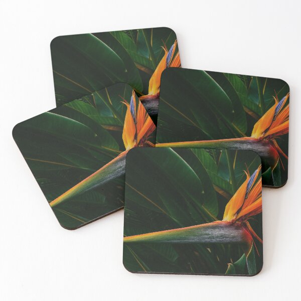 Item preview, Bird of Paradise: The Flame That Takes Flight designed and sold by Roland Keates aka Lost Histories .