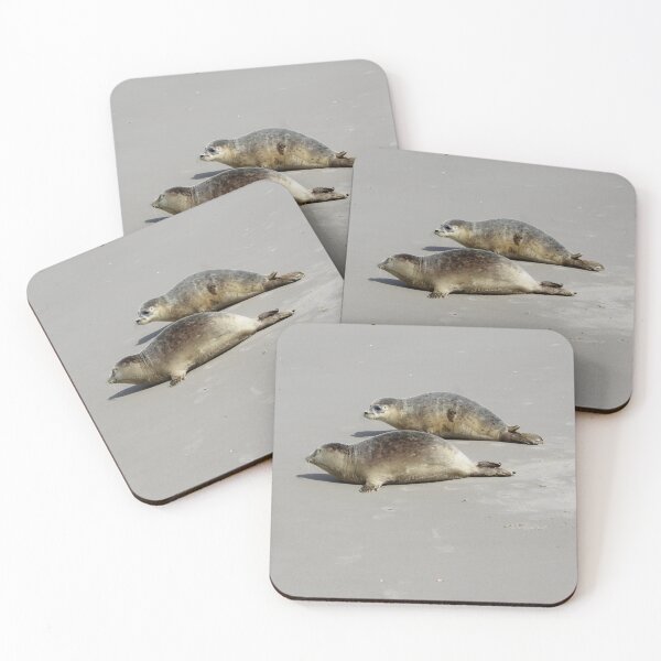 Item preview, Seals at the beach designed and sold by Marije Kouyzer.