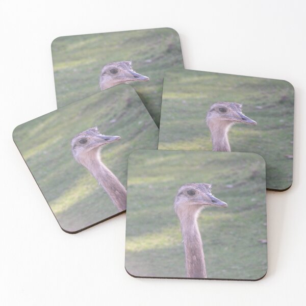 Item preview, Greater Rhea birds 013 designed and sold by pasta26mc.