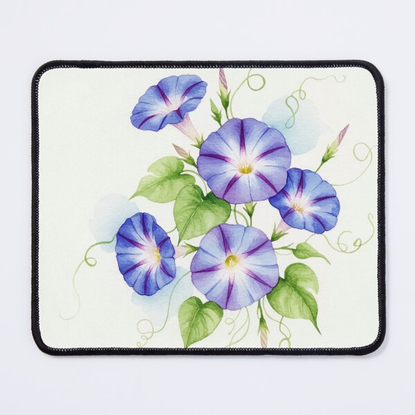 Item preview, Morning glory flowers designed and sold by Design4uStudio.