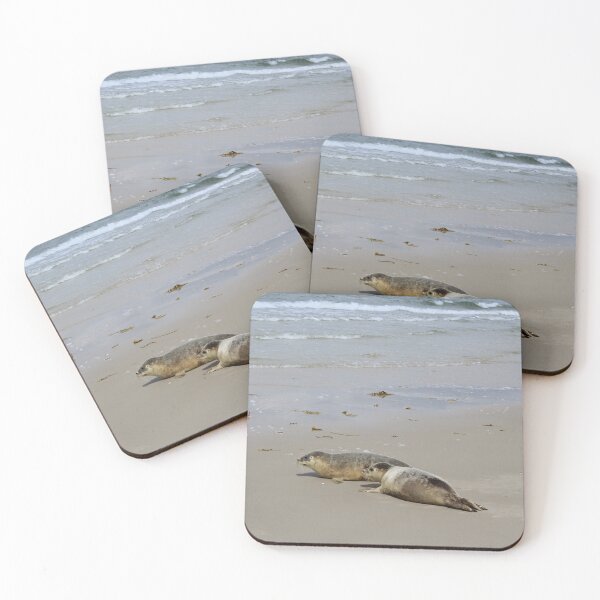 Item preview, Seals at the beach designed and sold by Marije Kouyzer.