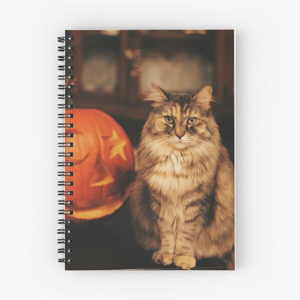 Item preview, Gato y calabaza de Halloween | Arte espeluznante de temporada designed and sold by MerchMarketer.