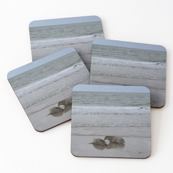 Item preview, Seals at the beach designed and sold by Marije Kouyzer.