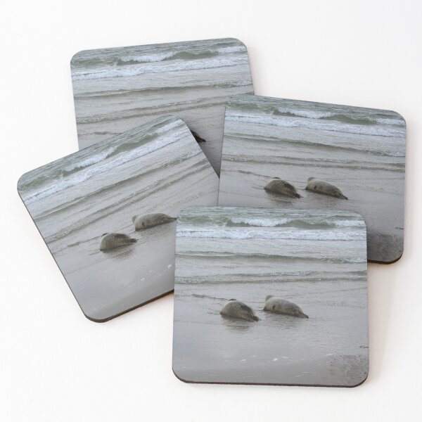 Item preview, Seals at the beach designed and sold by Marije Kouyzer.