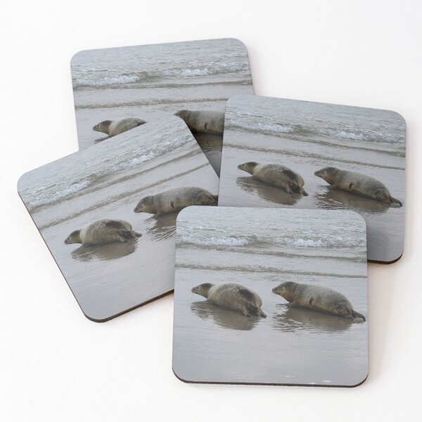 Item preview, Seals at the beach designed and sold by Marije Kouyzer.