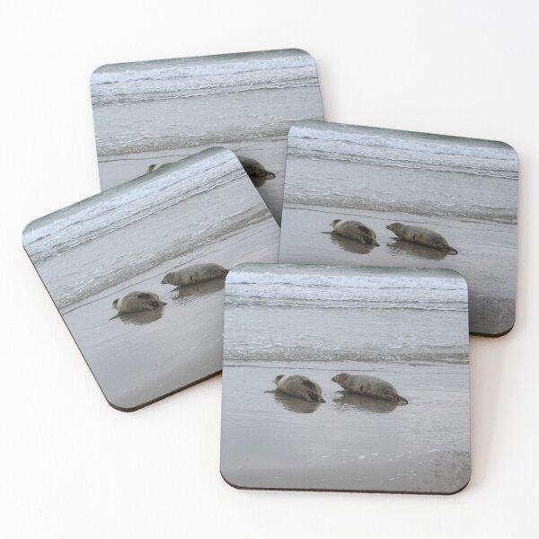 Item preview, Seals at the beach designed and sold by Marije Kouyzer.