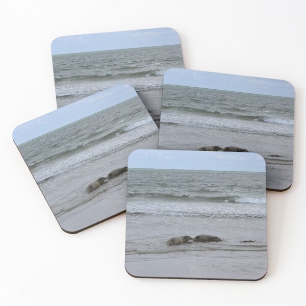 Item preview, Seals at the beach designed and sold by Marije Kouyzer.