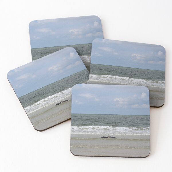 Item preview, Seals at the beach designed and sold by Marije Kouyzer.