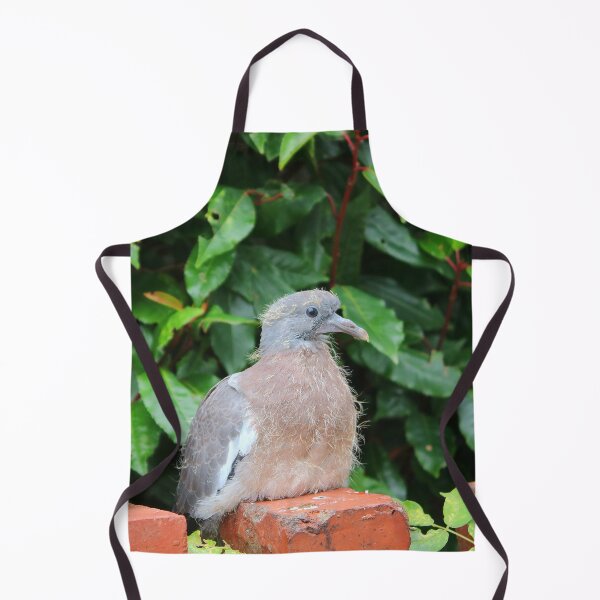 Item preview, Juvenile pigeons designed and sold by missmoneypenny.