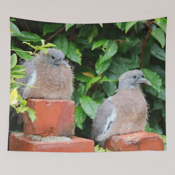 Item preview, Juvenile pigeons designed and sold by missmoneypenny.