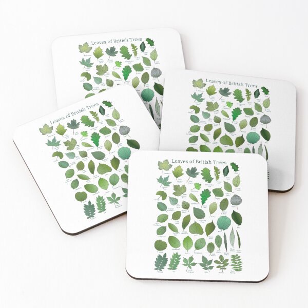 Item preview, Leaves of British Trees designed and sold by CanopyRobin.