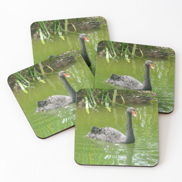 Item preview, Black Swan birds 014 designed and sold by pasta26mc.