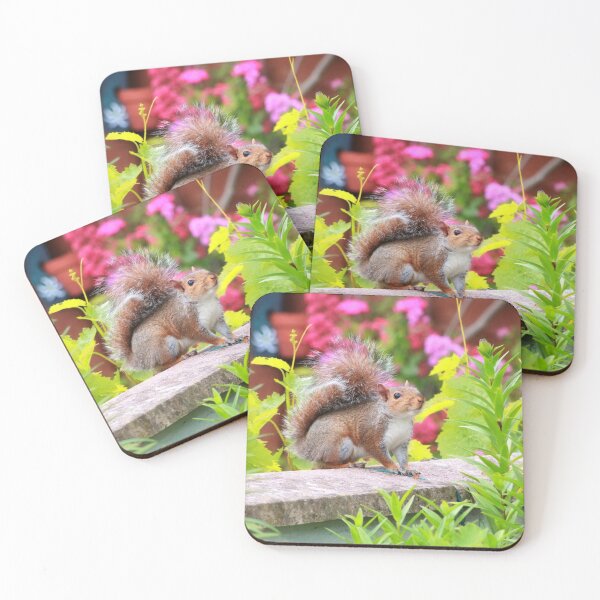 Item preview, Cute squirrel designed and sold by missmoneypenny.