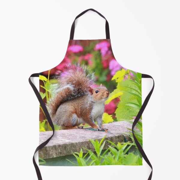 Item preview, Cute squirrel designed and sold by missmoneypenny.