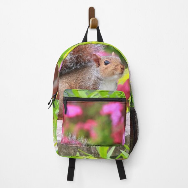Item preview, Cute squirrel designed and sold by missmoneypenny.