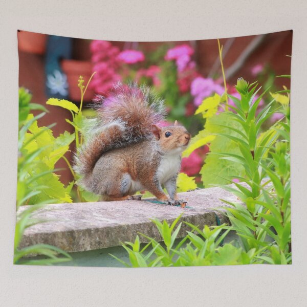 Item preview, Cute squirrel designed and sold by missmoneypenny.