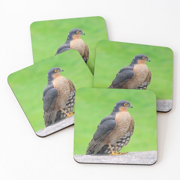 Item preview, Stunning sparrowhawk designed and sold by missmoneypenny.