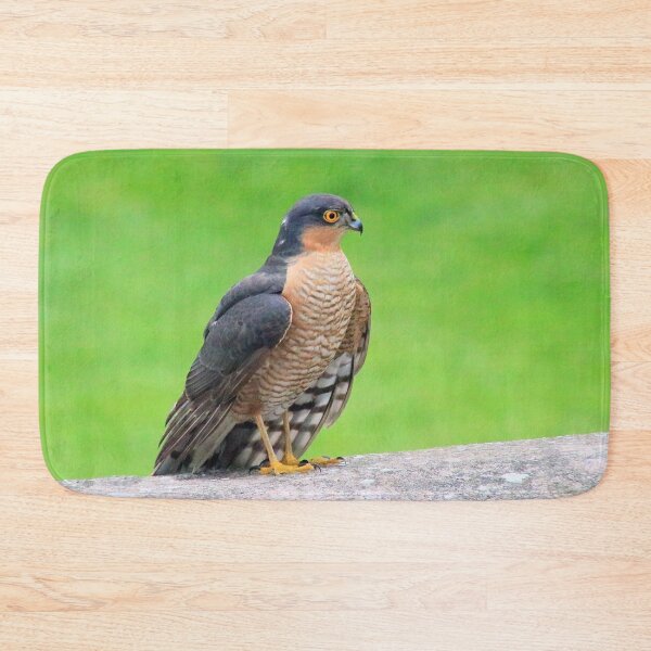 Item preview, Stunning sparrowhawk designed and sold by missmoneypenny.
