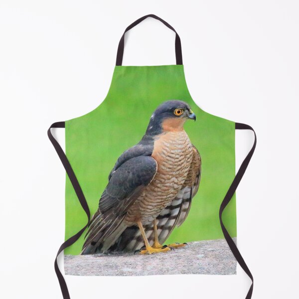 Item preview, Stunning sparrowhawk designed and sold by missmoneypenny.