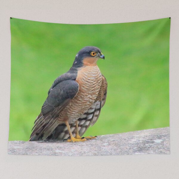 Item preview, Stunning sparrowhawk designed and sold by missmoneypenny.