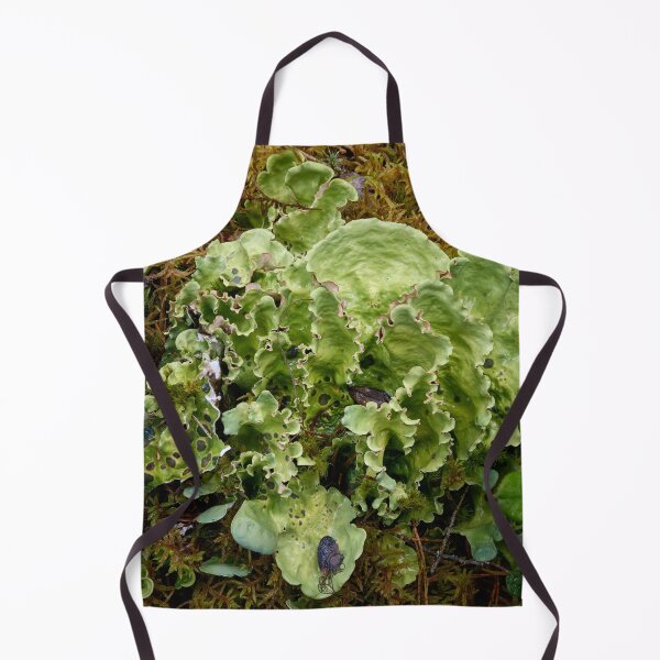 Item preview, Green dog lichen. Kuusamo, Ristikallio designed and sold by Jouko Lehto Photography.
